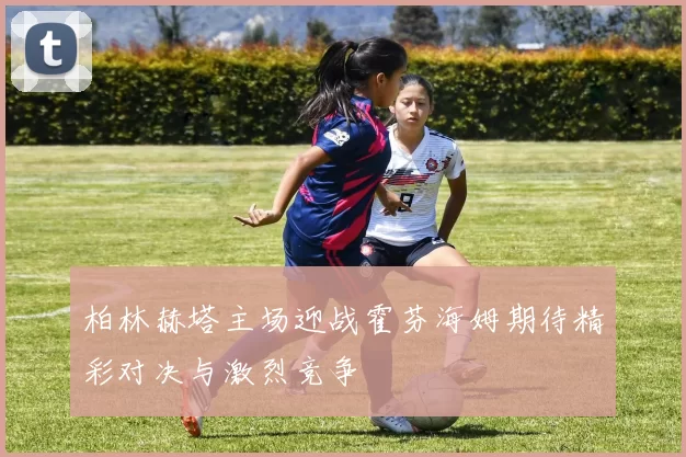 柏林赫塔主场迎战霍芬海姆期待精彩对决与激烈竞争