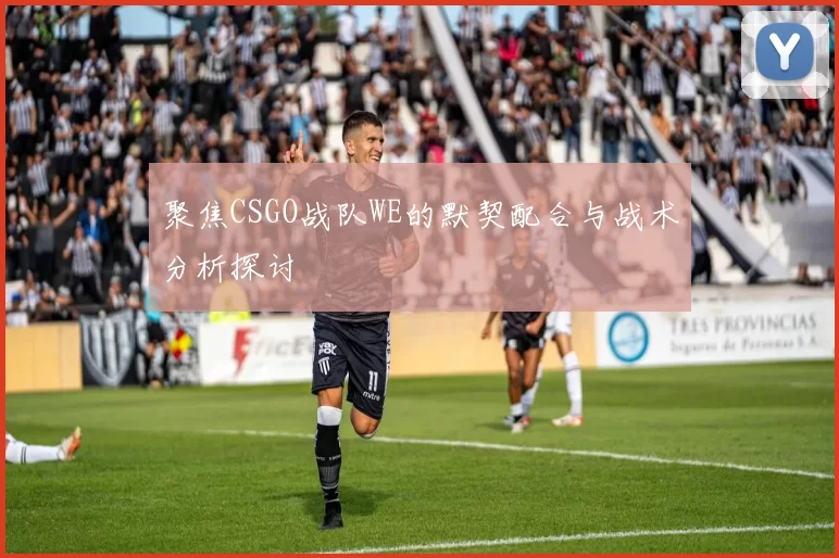 聚焦CSGO战队WE的默契配合与战术分析探讨