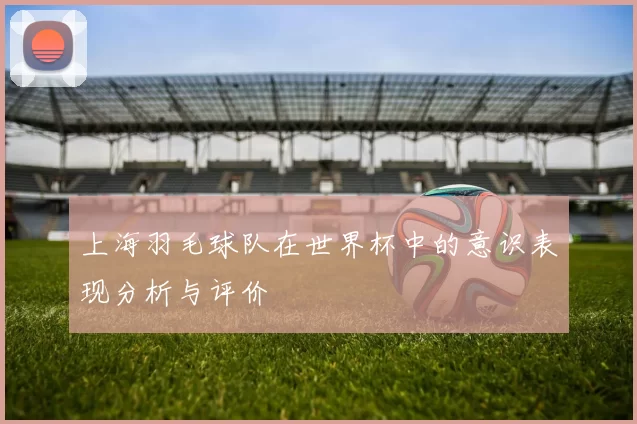 上海羽毛球队在世界杯中的意识表现分析与评价