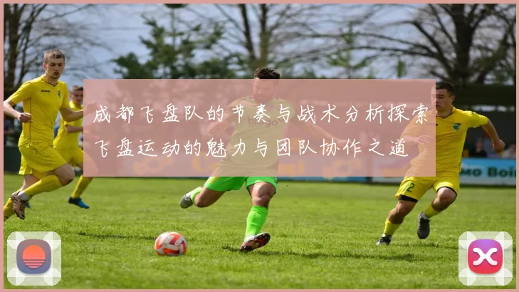 成都飞盘队的节奏与战术分析探索飞盘运动的魅力与团队协作之道