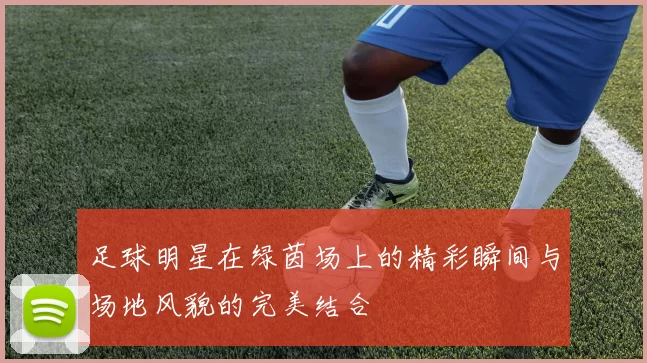 足球明星在绿茵场上的精彩瞬间与场地风貌的完美结合