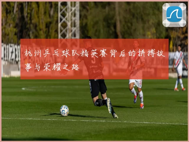 杭州乒乓球队精英赛背后的拼搏故事与荣耀之路