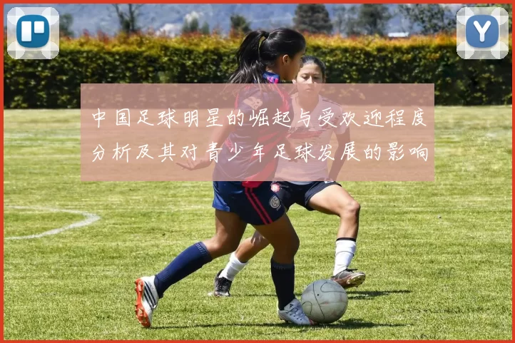 中国足球明星的崛起与受欢迎程度分析及其对青少年足球发展的影响