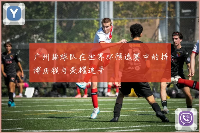 广州排球队在世界杯预选赛中的拼搏历程与荣耀追寻