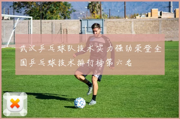 武汉乒乓球队技术实力强劲荣登全国乒乓球技术排行榜第六名