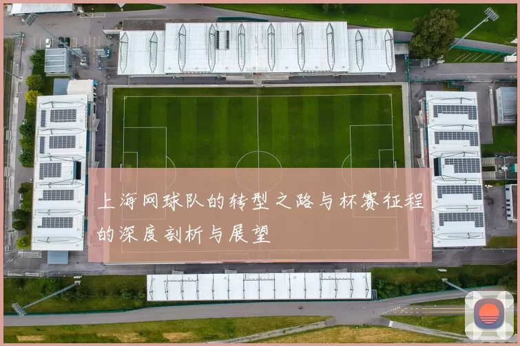上海网球队的转型之路与杯赛征程的深度剖析与展望