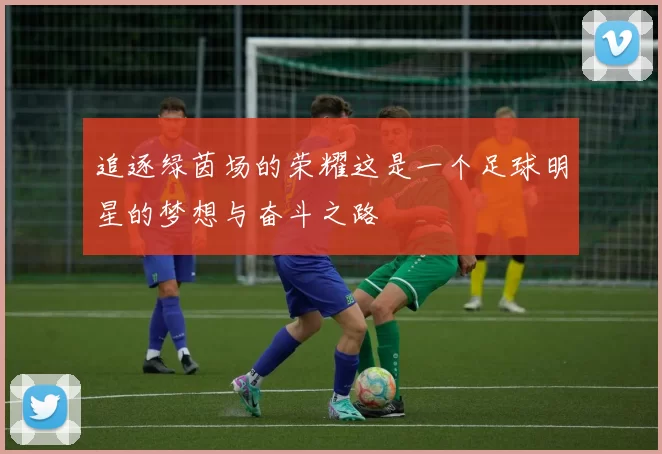 追逐绿茵场的荣耀这是一个足球明星的梦想与奋斗之路