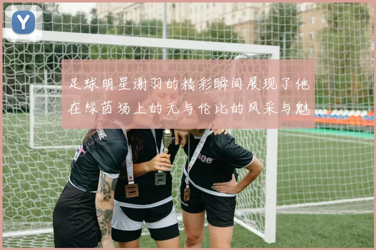 足球明星谢羽的精彩瞬间展现了他在绿茵场上的无与伦比的风采与魅力