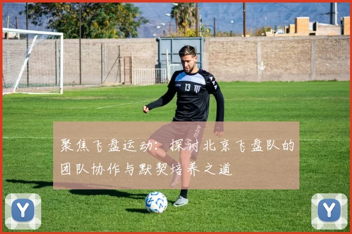 聚焦飞盘运动：探讨北京飞盘队的团队协作与默契培养之道