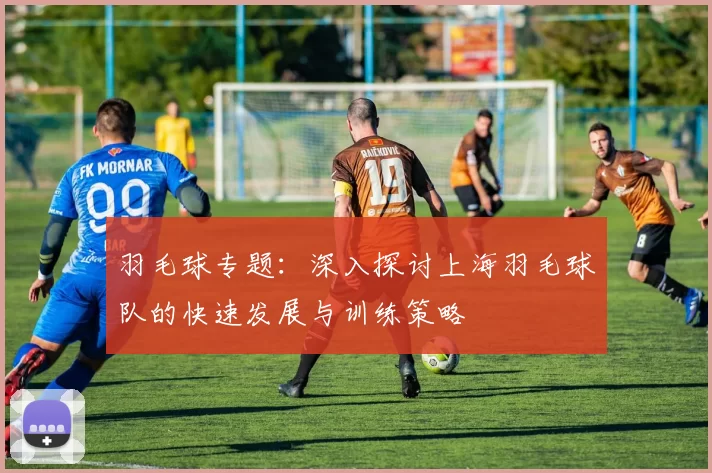 羽毛球专题：深入探讨上海羽毛球队的快速发展与训练策略