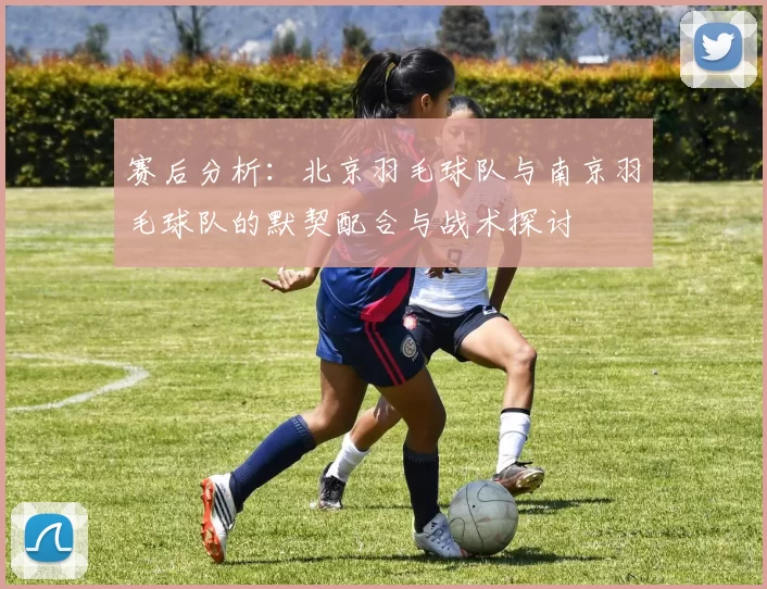 赛后分析：北京羽毛球队与南京羽毛球队的默契配合与战术探讨