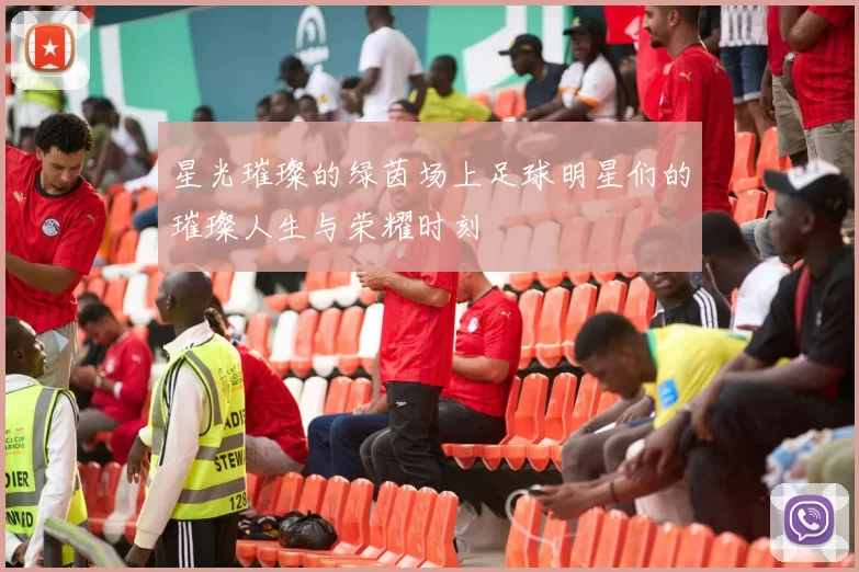 星光璀璨的绿茵场上足球明星们的璀璨人生与荣耀时刻