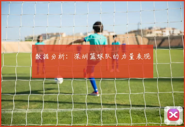 数据分析：深圳篮球队的力量表现