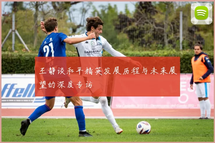 王静谈和平精英发展历程与未来展望的深度专访