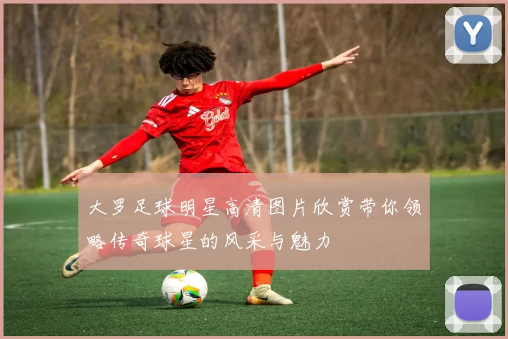 大罗足球明星高清图片欣赏带你领略传奇球星的风采与魅力