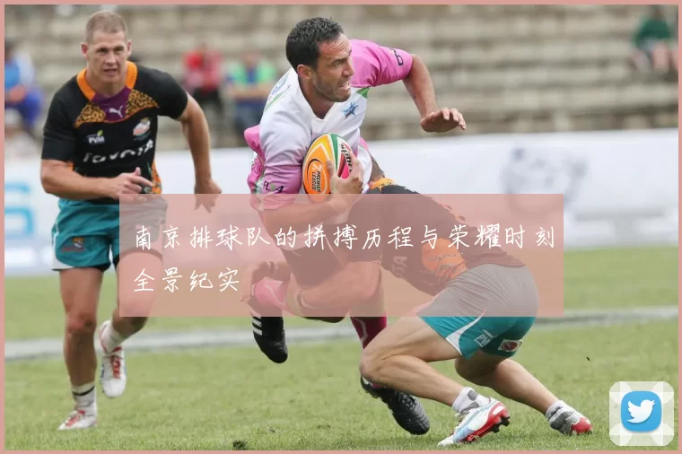 南京排球队的拼搏历程与荣耀时刻全景纪实
