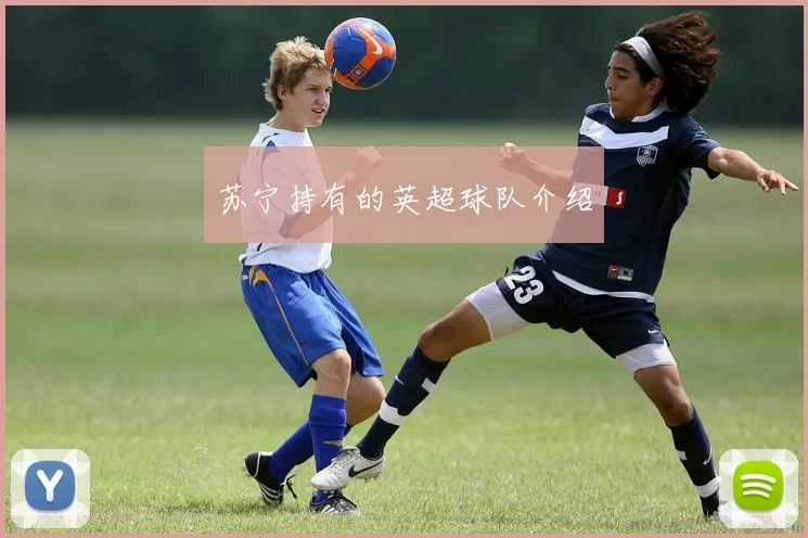 苏宁持有的英超球队介绍